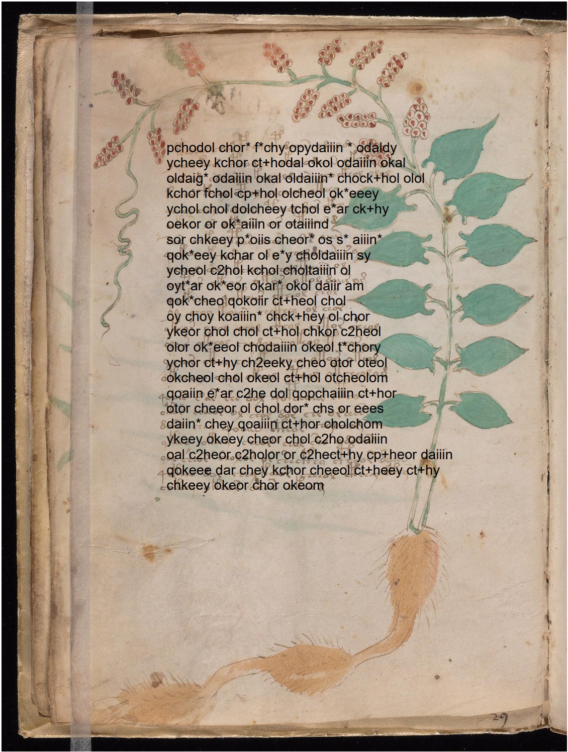 Folio 17v glyph overlay on parchment